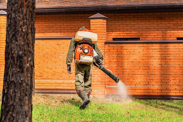 Top rated local Wasp Removal specialists in Cape Neddick, ME